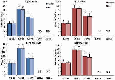 Characterization and Expression of Sphingosine 1-Phosphate Receptors in Human and Rat Heart